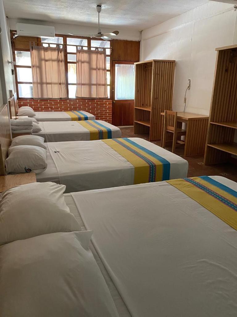 Hotel Bungalows Acuario ปูแอร์โตเอสกอนดิโด ภายนอก รูปภาพ